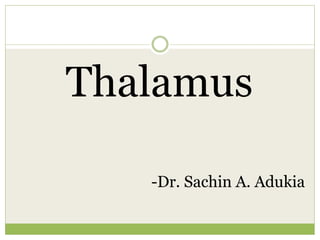 Thalamus
-Dr. Sachin A. Adukia
 