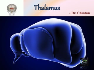 Thalamus - Dr. Chintan
 