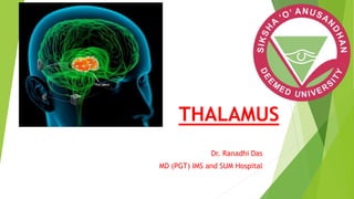 THALAMUS
Dr. Ranadhi Das
MD (PGT) IMS and SUM Hospital
 