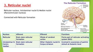 Thalamus-Anatomy,Physiology,Applied aspects | PPTX