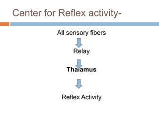 Center for Reflex activity-
All sensory fibers
Relay
Thalamus
Reflex Activity
 