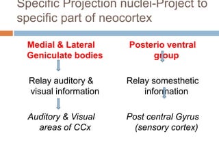 Specific Projection nuclei-Project to
specific part of neocortex
Medial & Lateral
Geniculate bodies
Relay auditory &
visual information
Auditory & Visual
areas of CCx
Posterio ventral
group
Relay somesthetic
information
Post central Gyrus
(sensory cortex)
 