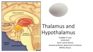 Thalamus and
Hypothalamus
To MBBS 2nd year
03-03-2017
By Dr. Laxman Khanal
Assistant professor, department of anatomy
BPKIHS, Dharan
 