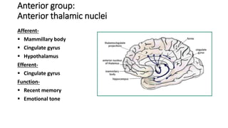 Anterior group:
Anterior thalamic nuclei
Afferent-
 Mammillary body
 Cingulate gyrus
 Hypothalamus
Efferent-
 Cingulate gyrus
Function-
 Recent memory
 Emotional tone
 