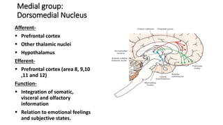 Medial group:
Dorsomedial Nucleus
Afferent-
 Prefrontal cortex
 Other thalamic nuclei
 Hypothalamus
Efferent-
 Prefrontal cortex (area 8, 9,10
,11 and 12)
Function-
 Integration of somatic,
visceral and olfactory
information
 Relation to emotional feelings
and subjective states.
 