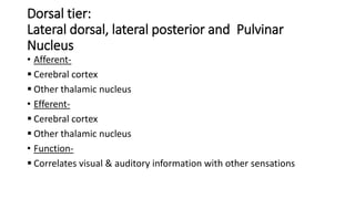 Dorsal tier:
Lateral dorsal, lateral posterior and Pulvinar
Nucleus
• Afferent-
 Cerebral cortex
 Other thalamic nucleus
• Efferent-
 Cerebral cortex
 Other thalamic nucleus
• Function-
 Correlates visual & auditory information with other sensations
 