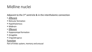 Midline nuclei
Adjacent to the 3rd ventricle & in the interthalamic connection
• Afferent
 Reticular formation
 Hypothalamous
 Midbrain
• Efferent
 Hyppocampal formation
 Amygdala
 Cingulate gyrus
Function
Part of limbic system, memory and arousal
 
