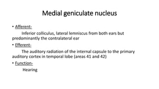 Medial geniculate nucleus
• Afferent-
Inferior colliculus, lateral lemniscus from both ears but
predominantly the contralateral ear
• Efferent-
The auditory radiation of the internal capsule to the primary
auditory cortex in temporal lobe (areas 41 and 42)
• Function-
Hearing
 