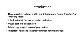 Introduction
• Thalamus derives from a latin word that means “Inner Chamber” or
“meeting Place”
• It is situated at the rostral end of brainstem
• Major part of diencephalon
• Paired, egg shaped mass of gray matter
• Important relay and integrative station for information
 