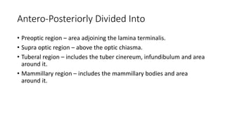 Antero-Posteriorly Divided Into
• Preoptic region – area adjoining the lamina terminalis.
• Supra optic region – above the optic chiasma.
• Tuberal region – includes the tuber cinereum, infundibulum and area
around it.
• Mammillary region – includes the mammillary bodies and area
around it.
 