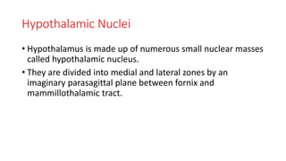 Hypothalamic Nuclei
• Hypothalamus is made up of numerous small nuclear masses
called hypothalamic nucleus.
• They are divided into medial and lateral zones by an
imaginary parasagittal plane between fornix and
mammillothalamic tract.
 