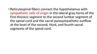 •Reticulospinal fibers connect the hypothalamus with
sympathetic cells of origin in the lateral gray horns of the
first thoracic segment to the second lumbar segment of
the spinal cord and the sacral parasympathetic outflow
at the level of the second, third, and fourth sacral
segments of the spinal cord.
 