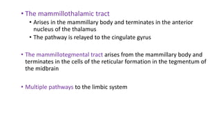 • The mammillothalamic tract
• Arises in the mammillary body and terminates in the anterior
nucleus of the thalamus
• The pathway is relayed to the cingulate gyrus
• The mammillotegmental tract arises from the mammillary body and
terminates in the cells of the reticular formation in the tegmentum of
the midbrain
• Multiple pathways to the limbic system
 