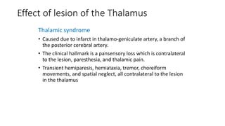 Effect of lesion of the Thalamus
Thalamic syndrome
• Caused due to infarct in thalamo-geniculate artery, a branch of
the posterior cerebral artery.
• The clinical hallmark is a pansensory loss which is contralateral
to the lesion, paresthesia, and thalamic pain.
• Transient hemiparesis, hemiataxia, tremor, choreiform
movements, and spatial neglect, all contralateral to the lesion
in the thalamus
 