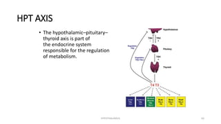 HPT AXIS
• The hypothalamic–pituitary–
thyroid axis is part of
the endocrine system
responsible for the regulation
of metabolism.
HYPOTHALAMUS 63
 
