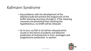 Kallmann Syndrome
• Any problems with the development of the
olfactory bulb will prevent the progression of the
GnRH releasing neurones through it. If the releasing
neurones are prevented from reaching the
hypothalamus, no GnRH will be released.
• So in turn, no FSH or LH will be released which
results in the failure of puberty and deficient
production of testosterone in men, oestrogen and
progesterone production in women.
HYPOTHALAMUS 79
 