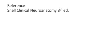 Reference
Snell Clinical Neuroanatomy 8th ed.
 