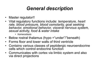 General description
• Master regulator!!
• Vital regulatory functions include: temperature, heart
rate, blood pressure, blood osmolarity, goal seeking
behavior, emotional behavior, visceral nervous system,
sexual activity, food & water intake
• homeostasis
• Below rostral thalamus (hypo =“under”/”beneath)
• Forms floor and lower walls of third ventricle
• Contains various classes of peptidergic neuroendocrine
cells which control endocrine function
• Communicates with cortex via limbic system and also
via direct projections
 