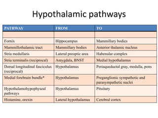 Hypothalamic pathways
PATHWAY FROM TO
Fornix Hippocampus Mammillary bodies
Mammillothalamic tract Mammillary bodies Anterior thalamic nucleus
Stria medullaris Lateral preoptic area Habenular complex
Stria terminalis (reciprocal) Amygdala, BNST Medial hypothalamus
Dorsal longitudinal fasciculus
(reciprocal)
Hypothalamus Periaqueductal gray, medulla, pons
Medial forebrain bundle* Hypothalamus Preganglionic sympathetic and
parasympathetic nuclei
Hypothalamohypophyseal
pathways
Hypothalamus Pituitary
Histamine, orexin Lateral hypothalamus Cerebral cortex
 