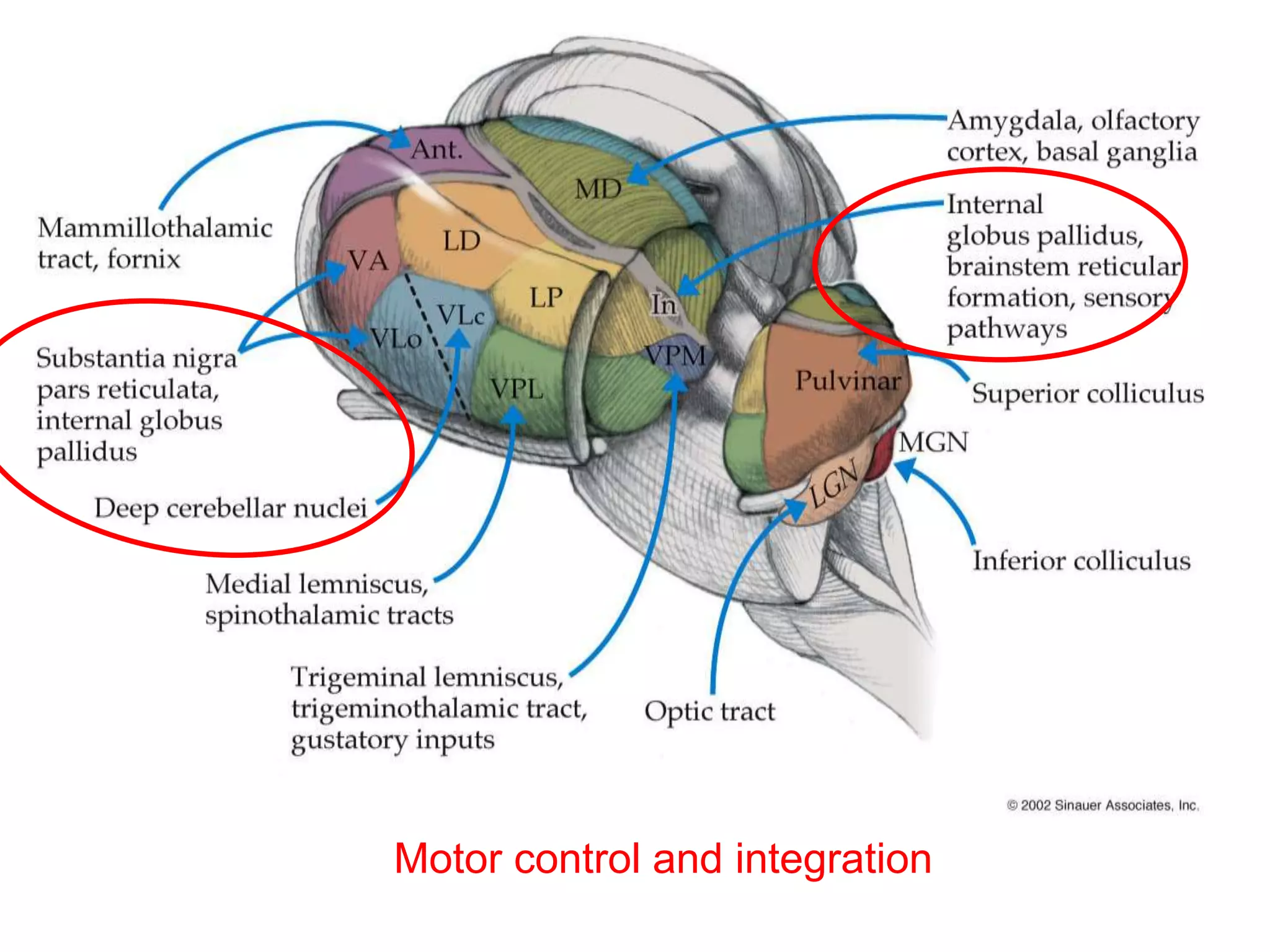 Motor control and integration
 