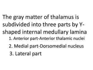 The gray matter of thalamus is
subdivided into three parts by Y-
shaped internal medullary lamina
1. Anterior part-Anterior thalamic nuclei
2. Medial part-Dorsomedial nucleus
3. Lateral part
 