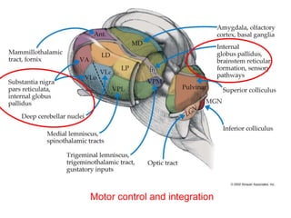 Motor control and integration
 