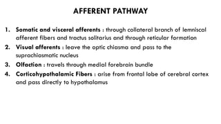 THALAMUS & HYPOTHALAMUS TOPIC PRESENTATION | PPTX