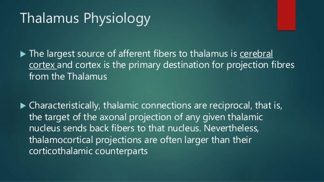 THALAMUS PHYSIOLOGY PDF DOWNLOAD THALAMUS PHYSIOLOGY PDF DOWNLOAD