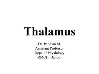 Thalamus
Dr. Pandian M.
Assistant Professor
Dept. of Physiology
ZMCH, Dahod.
 