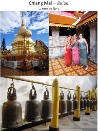 Chiang Mai – เชียงใหม่
     La rose du Nord
 