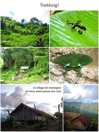 Trekking!




      Le village de montagne
où nous avons passé une nuit
 