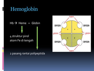 Hemoglobin
Hb  Heme + Globin
4 struktur pirol
atom Fe di tengah
2 pasang rantai polipeptida
 
