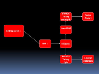 Eritropoietin ↑
Invasi BM
Bentuk
Tulang
memipih
BM ↑
Fraktur
patologis
ekspansi
Korteks
Tulang
tipis
Facies
Cooley
 
