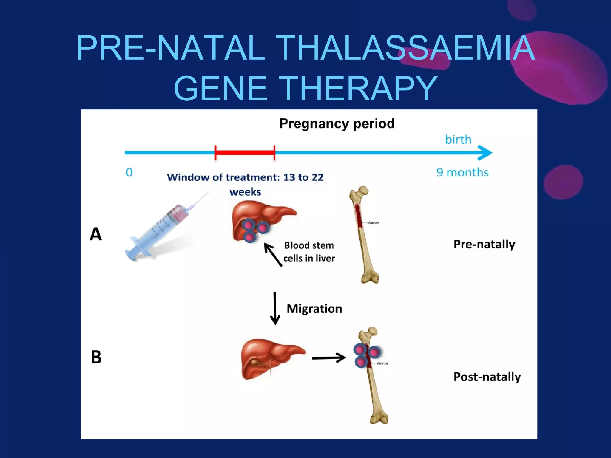 PRE-NATAL THALASSAEMIA
GENE THERAPY

 