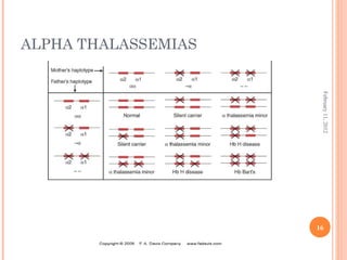 16
February11,2012
ALPHA THALASSEMIAS
 