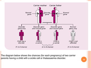 36
February11,2012
The diagram below shows the chances (for each pregnancy) of two carrier
parents having a child with a sickle cell or thalassaemia disorder.
 