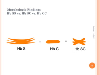45
February11,2012
Morphologic Findings
Hb SS vs. Hb SC vs. Hb CC
=+
Hb S Hb C Hb SC
 