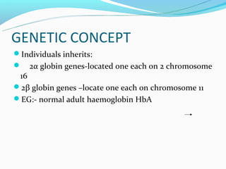 GENETIC CONCEPT
Individuals inherits:
   2α globin genes-located one each on 2 chromosome
 16
2β globin genes –locate one each on chromosome 11
EG:- normal adult haemoglobin HbA
 
