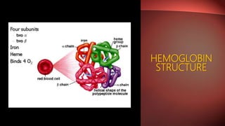 HEMOGLOBIN
STRUCTURE
 