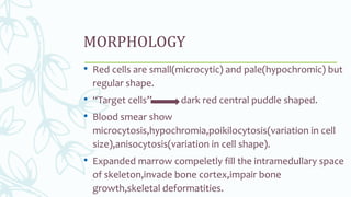MORPHOLOGY
• Red cells are small(microcytic) and pale(hypochromic) but
regular shape.
• “Target cells’’ dark red central puddle shaped.
• Blood smear show
microcytosis,hypochromia,poikilocytosis(variation in cell
size),anisocytosis(variation in cell shape).
• Expanded marrow compeletly fill the intramedullary space
of skeleton,invade bone cortex,impair bone
growth,skeletal deformatities.
 