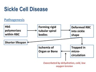 Thalassemia | PPTX