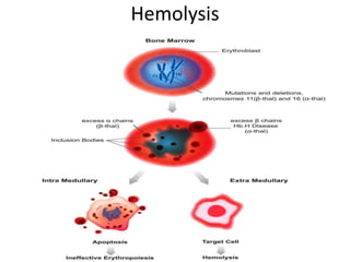 Hemolysis
 