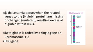 oβ-thalassemia occurs when the related
genes to the β- globin protein are missing
or changed (mutated), resulting excess of
α-globin within RBCs.
oBeta-globin is coded by a single gene on
Chromosome 11:
•HBB gene
 