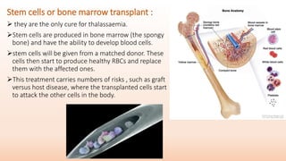 Stem cells or bone marrow transplant :
 they are the only cure for thalassaemia.
Stem cells are produced in bone marrow (the spongy
bone) and have the ability to develop blood cells.
stem cells will be given from a matched donor. These
cells then start to produce healthy RBCs and replace
them with the affected ones.
This treatment carries numbers of risks , such as graft
versus host disease, where the transplanted cells start
to attack the other cells in the body.
 