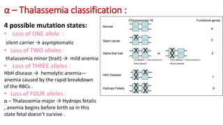 α – Thalassemia classification :
4 possible mutation states:
• Loss of ONE allele :
silent carrier → asymptomatic
• Loss of TWO alleles :
thalassemia minor (trait) → mild anemia
• Loss of THREE alleles :
HbH disease → hemolytic anemia—
anemia caused by the rapid breakdown
of the RBCs .
• Loss of FOUR alleles :
α – Thalassemia major → Hydrops fetalis
, anemia begins before birth so in this
state fetal doesn’t survive .
 