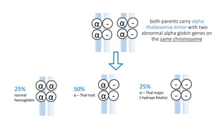 both parents carry alpha
thalassemia minor with two
abnormal alpha globin genes on
the same chromosome
-α
α -
-α
α -
αα
α α
-α
α -
--
- -
25%
normal
hemoglobin
50%
α – Thal trait
25%
α – Thal major
( hydrops fetalis)
 