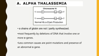 A. ALPHA THALASSEMIA
Normal Hb α-Chain Production
• α chains of globin are not / partly synthesized.
•most frequently by deletions of DNA that involve one or
more α-genes.
•Less common causes are point mutations and presence of
an abnormal α-gene.
 