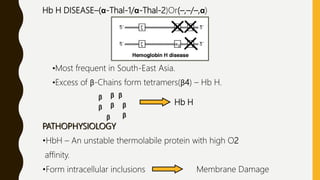 Hb H DISEASE–(α-Thal-1/α-Thal-2)Or(–,–/–,α)
•Most frequent in South-East Asia.
•Excess of β-Chains form tetramers(β4) – Hb H.
β
ββ
β
β
ββ
β
Hb H
PATHOPHYSIOLOGY
•HbH – An unstable thermolabile protein with high O2
affinity.
•Form intracellular inclusions Membrane Damage
 