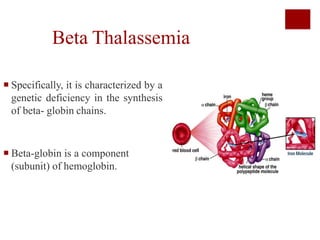 Beta Thalassemia
 Specifically, it is characterized by a
genetic deficiency in the synthesis
of beta- globin chains.
 Beta-globin is a component
(subunit) of hemoglobin.
 