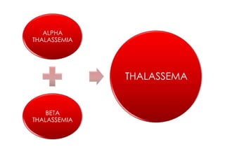 ALPHA
THALASSEMIA
BETA
THALASSEMIA
THALASSEMA
 